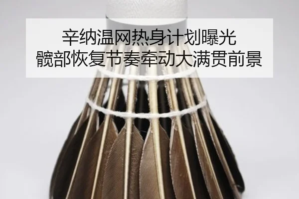 辛纳温网热身计划曝光 髋部恢复节奏牵动大满贯前景